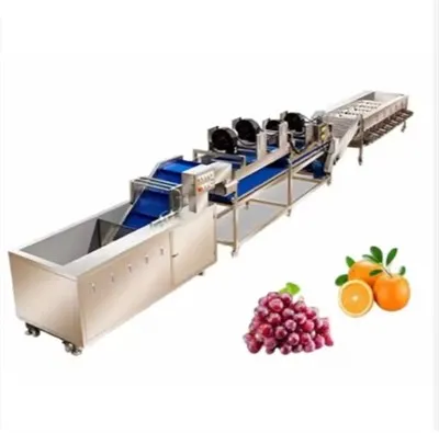 Obst- und Gemüsesortiermaschine